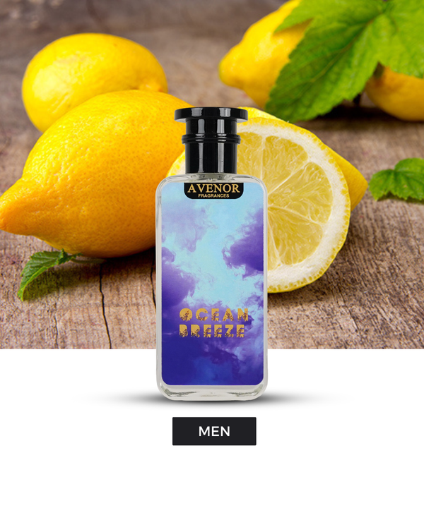 Ocean Breeze Inspired by Versace Eros-50ml-With free delivery 🚚